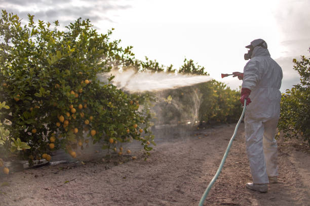 Insect Control in Cle Elum, WA