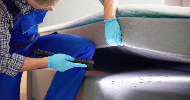 Best Pest Inspection Near Me  in Cle Elum, WA